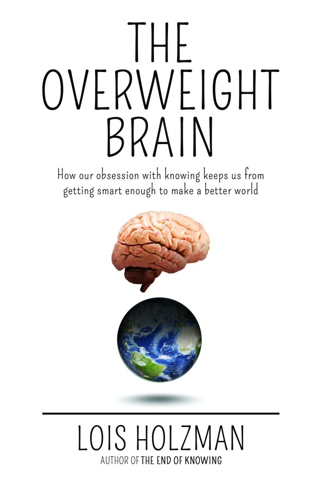 Overweight Brain 111213d